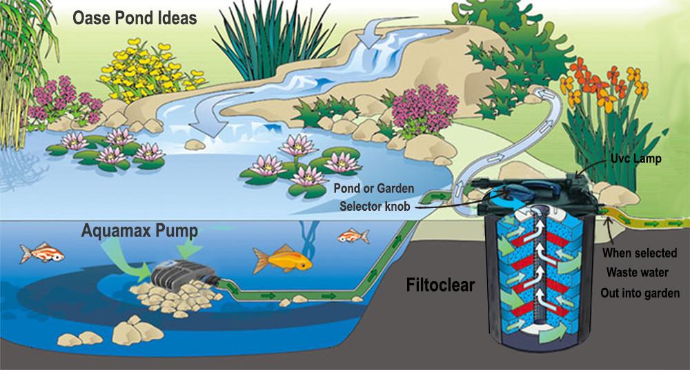 Oase Filtoclear 3000