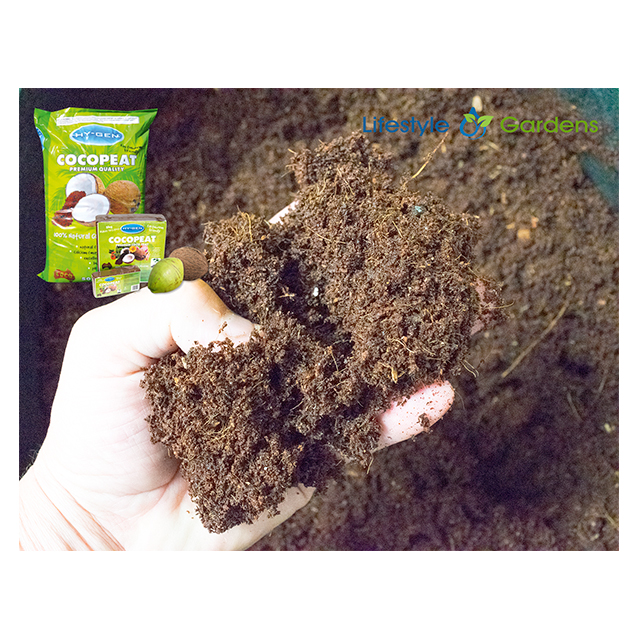 HyGen Coco Fibre loose in Hand