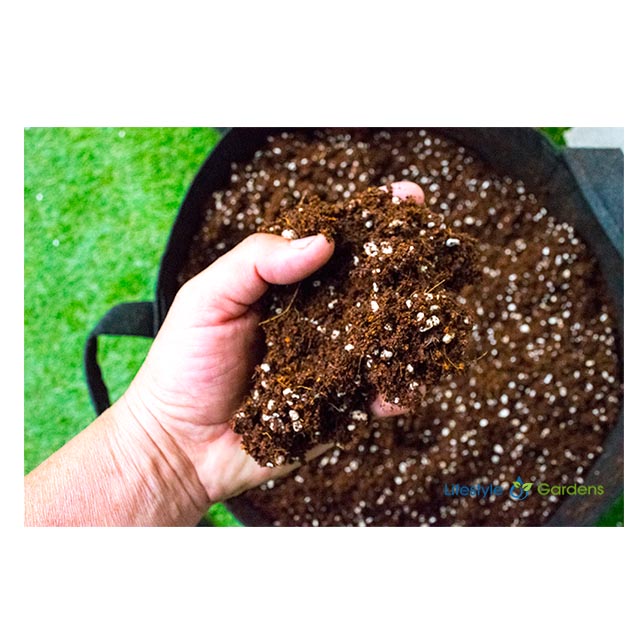 COIRLITE - COIR & PERLITE  50ltr Bag