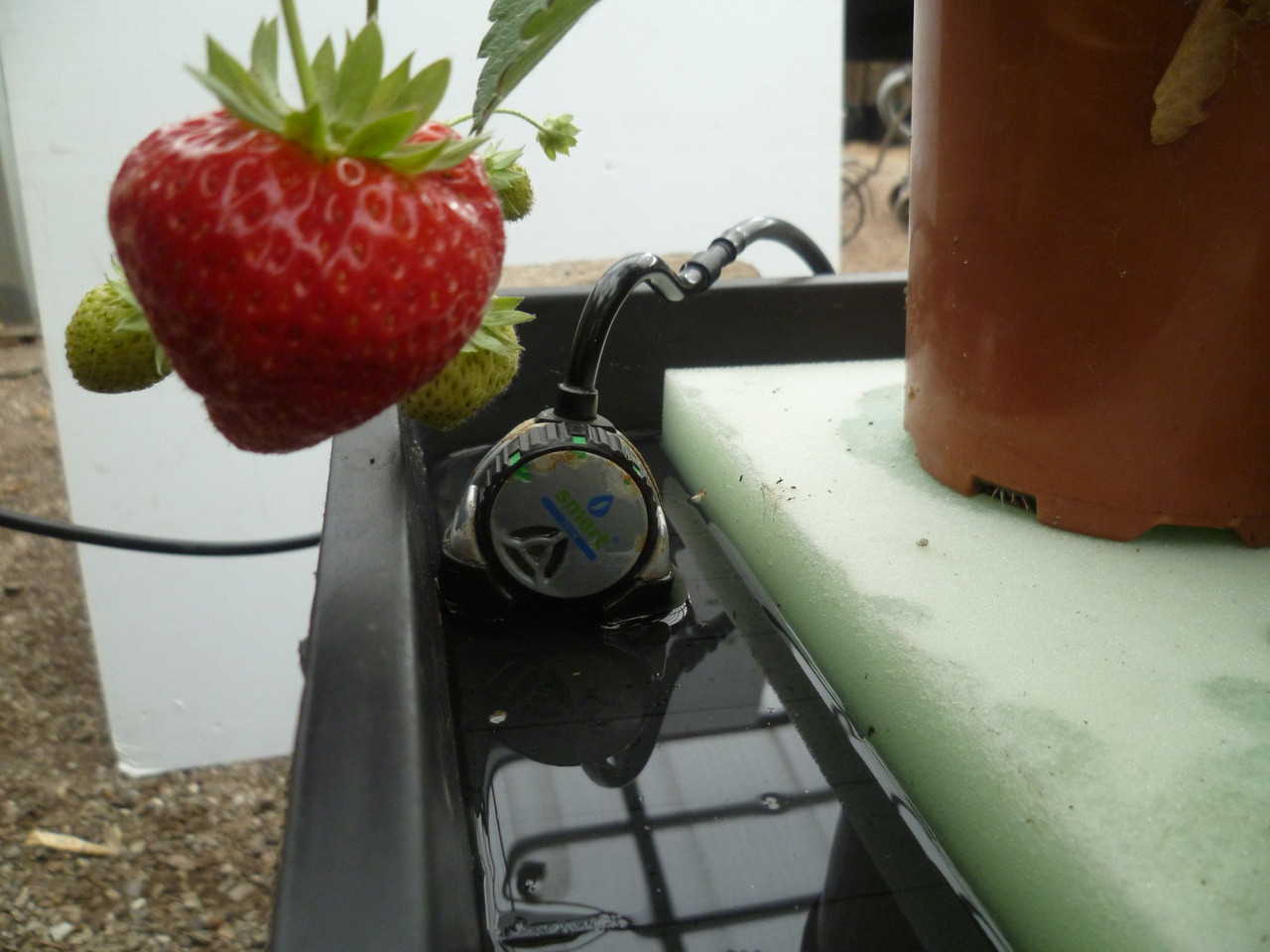 Smart Tech Valve - Automatic Watering Valve - Buy 2