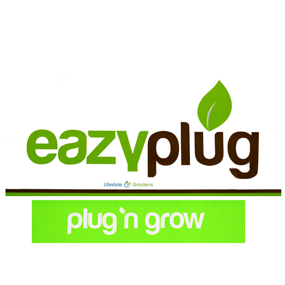 Eazy Plug CT77