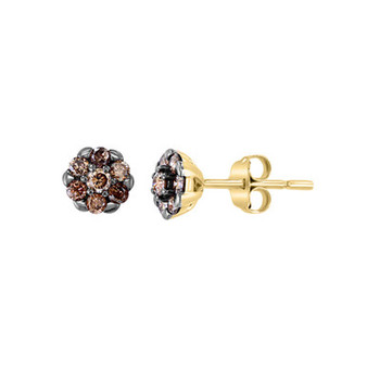 LALI Jewels Brown Diamond Stud Earrings (1/3 ct. t.w.) in 14K Yellow Gold