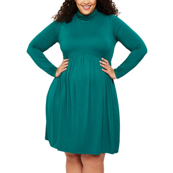 Plus Size Turtleneck Fit & Flare Maternity Dress