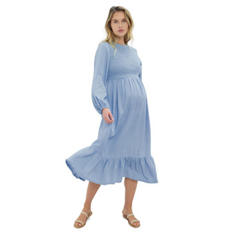 Women's Maternity Meadow Chambray Dress