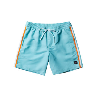 Men's Short Length Beach Please Volley 17NB Shorts
