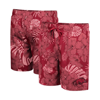 Men's Cardinal Arkansas Razorbacks The Dude Swim Shorts