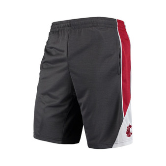 Men's Charcoal Washington State Cougars Turnover Team Shorts