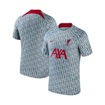 Men's Gray Liverpool 2023 Pre-Match Performance Top