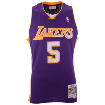 Men's Robert Horry Los Angeles Lakers Hardwood Classic Swingman Jersey