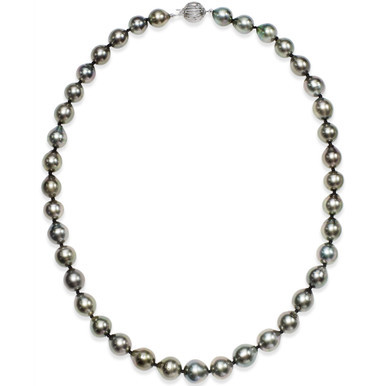 Tahitian Multi-Color Pearl (9-11mm) Strand Necklace in 14k White Gold