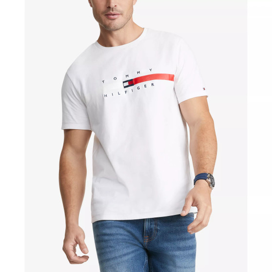 Men's Big & Tall Flag Stripe T-shirt