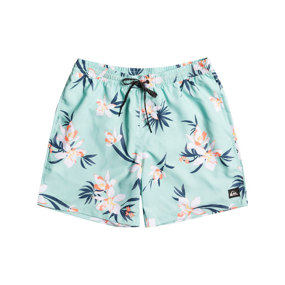 Quicksilver Men's Everyday Mix Volley 17" Swim Shorts