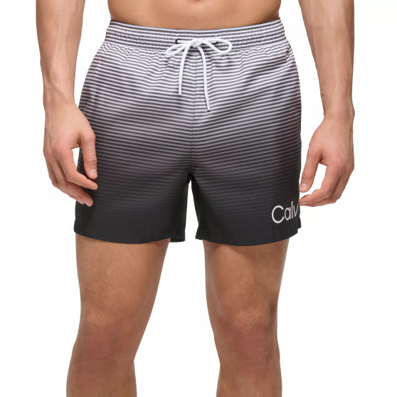 Men's 5" Ombré Gradient Stripe Swim Trunks