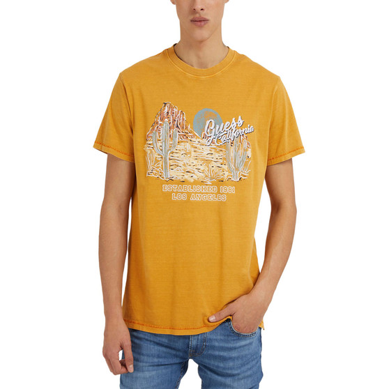Men's Desert Vibes Acid-Washed Logo Graphic T-Shirt