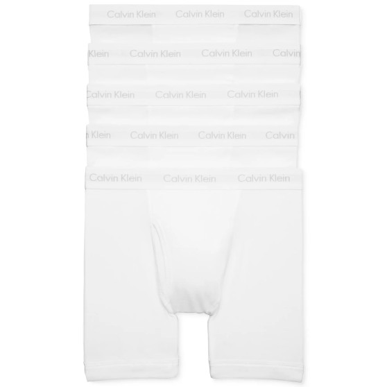 Men's 5-Pack Cotton Classic Boxer Briefs Underwear