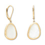 Black Onyx Abstract Earring in 18k Gold Over Sterling Silver