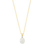 Cultured Freshwater Pearl (8mm) and Diamond Accent Pendant Necklace in 14k Gold