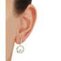 Cubic Zirconia Circle Drop Earrings in Sterling Silver & 14k Gold-Plate