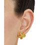 Beaded Starfish Stud Earrings in 14k Gold, Created for Macy's