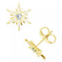 Cubic Zirconia Star Stud Earrings