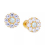Lab-Created Opal (1/20 ct. t.w.) & Lab-Created White Sapphire (1/2 ct. t.w.) Stud Earrings