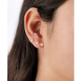 Clear Cubic Zirconia Post Crawler Earrings