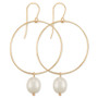 Cultured Freshwater Pearl (10 x 8mm) Drop Hoop Earrings in 14k Gold