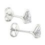 Diamond Pear Stud Earrings (1/2 ct. t.w.) in 14k White Gold