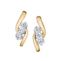 Diamond (1/3 ct. t.w.) Earrings in 14k Yellow and White Gold