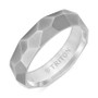 Men's Faceted Brush Finish Wedding Band in Titanium