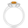 Women's Citrine (1-3/5 ct.t.w.) and White Topaz (3/4 ct.t.w.) 3-Stone Ring in Sterling Silver