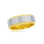 Mens Stainless Steel Two-tone Satin Band Ring