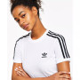 Women's Cotton 3 Stripes T-Shirt, XS-4X
