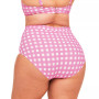Vivien Women's Plus-Size Swimwear High-Waist Bikini Bottom