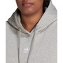 Plus Size Fleece Hoodie