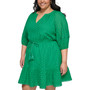 Plus Size Eyelet Fit & Flare Dress