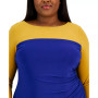 Plus Size Ginger Colorblocked Midi Shift Dress