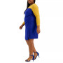 Plus Size Ginger Colorblocked Midi Shift Dress