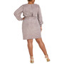 Plus Size Metallic Dress
