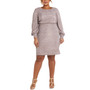 Plus Size Metallic Dress