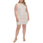 Plus Size Lace Shift Dress