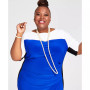 Plus Size Chaplin Colorblocked Elbow-Sleeve Dress