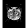 Women's Crewneck Word Art Siamese Cat Sweatshirt Top