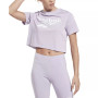 Women's Identity Logo Cropped T-Shirt, A Macy's Exclusive