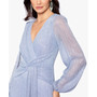 Women's Metallic Crinkled Gown