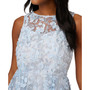 Women's Embroidered Appliqued Sleeveless Fit & Flare Dress
