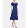 Sequined Lace Midi Dress