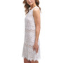 Petite Lace Shift Dress