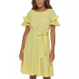 Women's Ruffle-Sleeve A-Line Dress