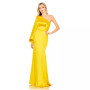 Women's Ieena One Shoulder Bishop Sleeve Trumpet Gown